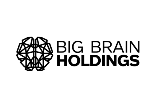 Big
                                                        Brain Holdings